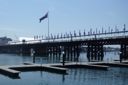 Australia Day