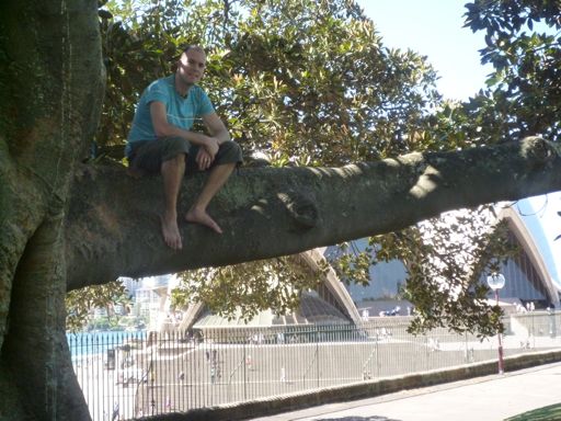 Ben grimpe aux arbres n'importe où... c'est comme ça !