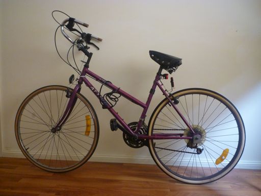 P1000675 Ma merveille de bicyclette (c'est pas ironique, c'est vraiment un vélo exceptionnel!)
