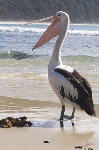 roadtrip-byronbay-day106