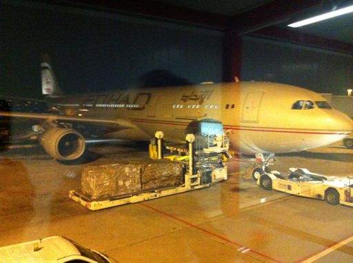 IMG_0872 En parlant d'avion le voici !